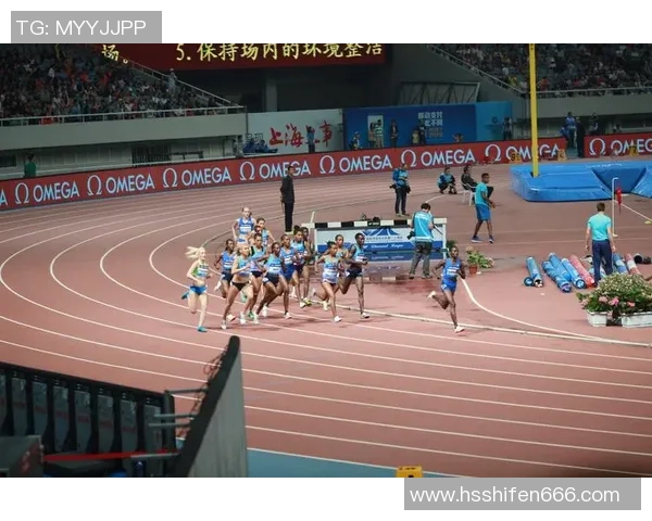 上海排球队在钻石联赛中的蜕变与未来发展展望