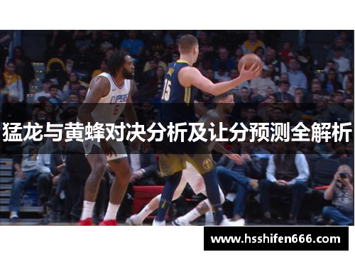 猛龙与黄蜂对决分析及让分预测全解析