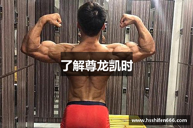 了解尊龙凯时